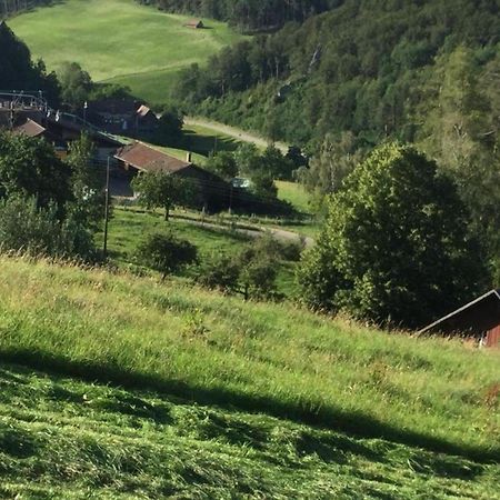 Ferienwohnung Hof Unterer Duerrenberg Langenbruck Kültér fotó