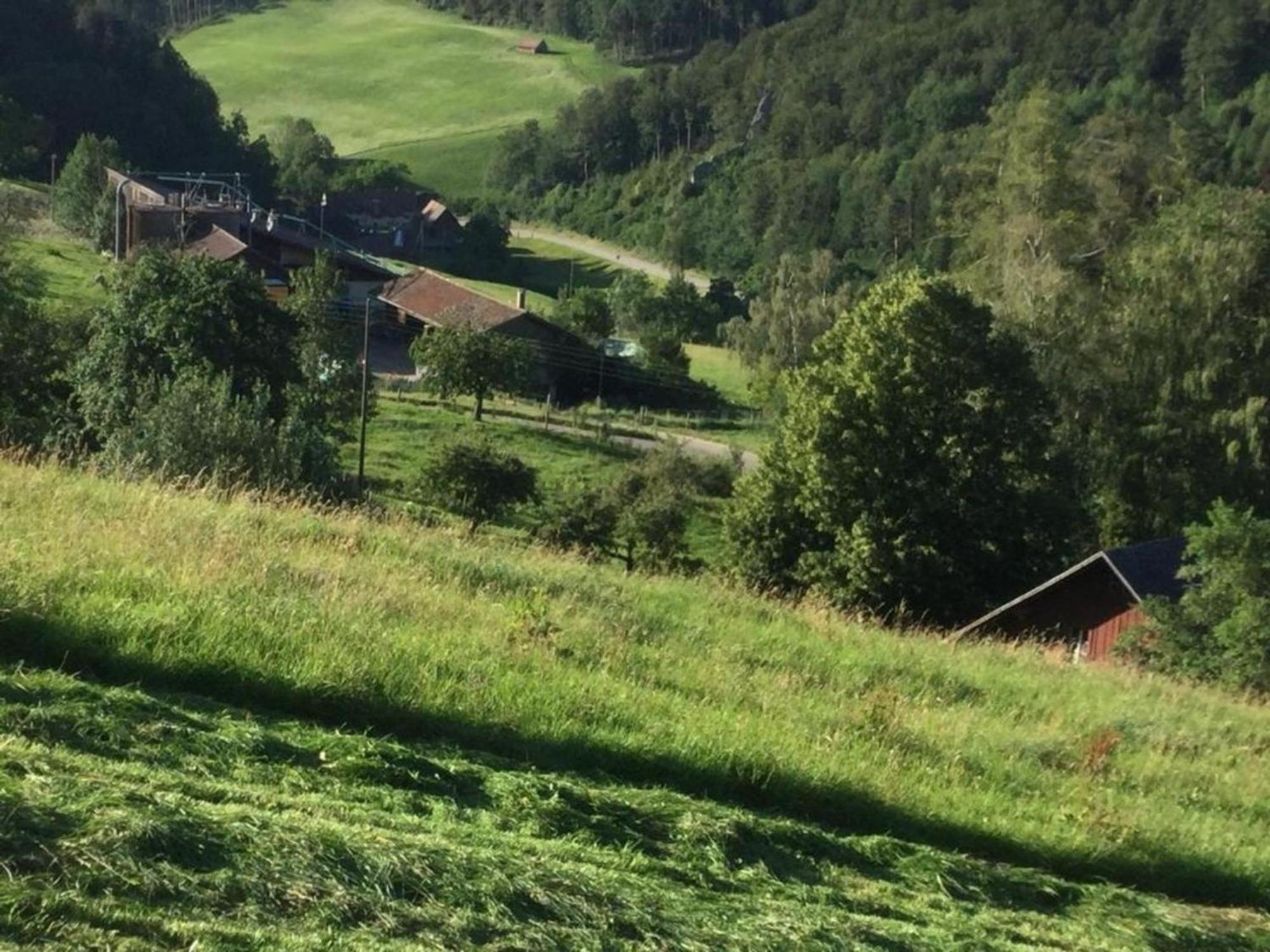 Ferienwohnung Hof Unterer Duerrenberg Langenbruck Kültér fotó